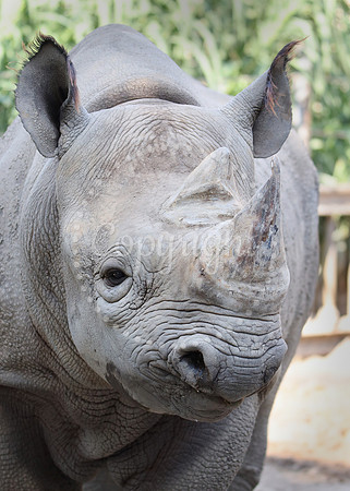 Lee Richardson Zoo