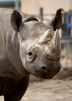 Lee Richardson Zoo