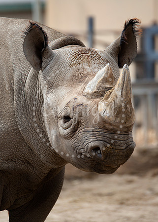 Lee Richardson Zoo