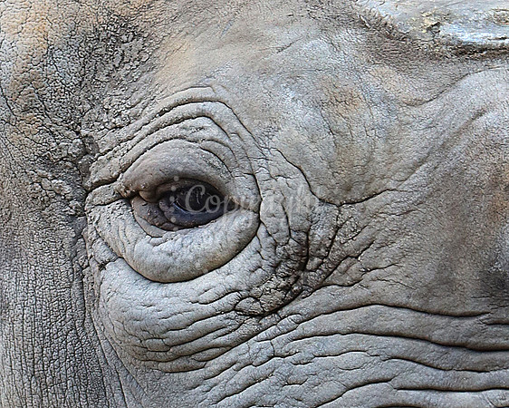 Lee Richardson Zoo
