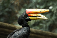 Minnesota Zoo